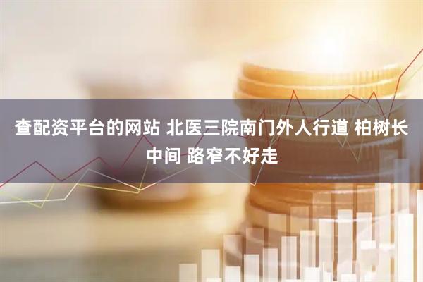查配资平台的网站 北医三院南门外人行道 柏树长中间 路窄不好走