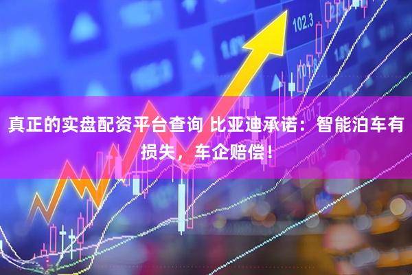 真正的实盘配资平台查询 比亚迪承诺：智能泊车有损失，车企赔偿！