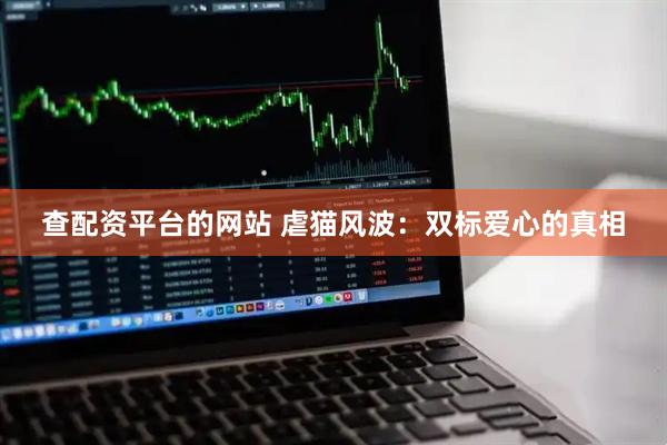 查配资平台的网站 虐猫风波：双标爱心的真相