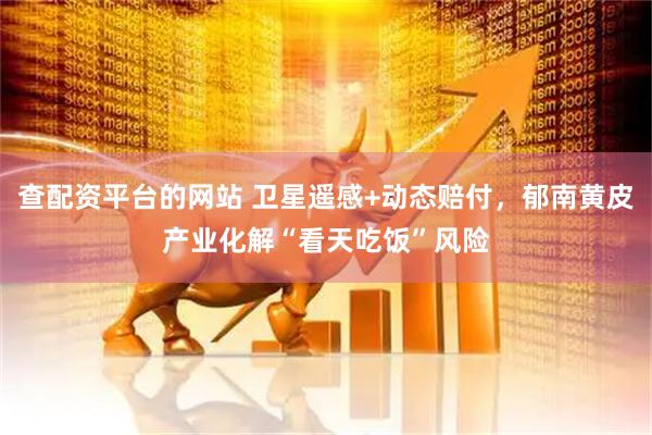 查配资平台的网站 卫星遥感+动态赔付，郁南黄皮产业化解“看天吃饭”风险
